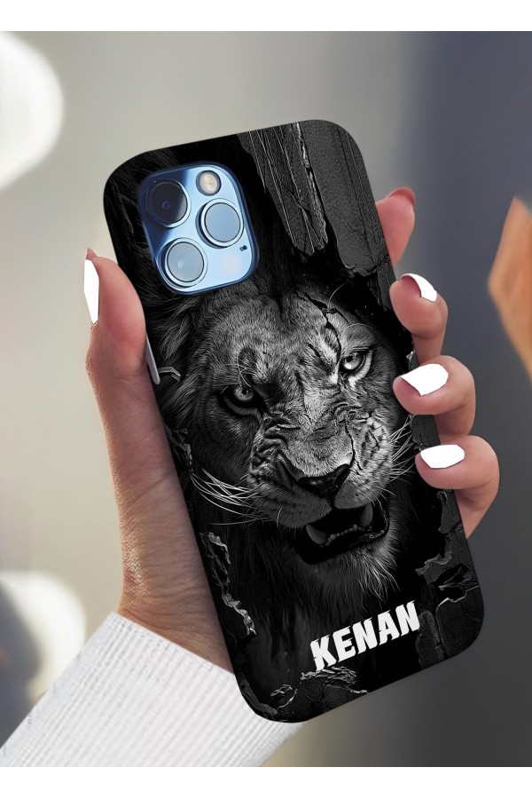 Aslan İsimli 3 Tasarımlı Baskılı Kılıf Aslan İsimli 3 Tasarımlı Baskılı Kılıf